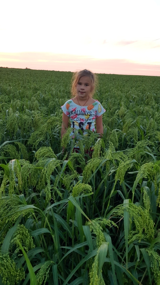 Колос-Близнюківська громада-Харківщина-02