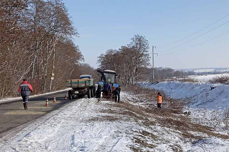 Заготівля дров на Коломаччині взимку 2025-2026 років