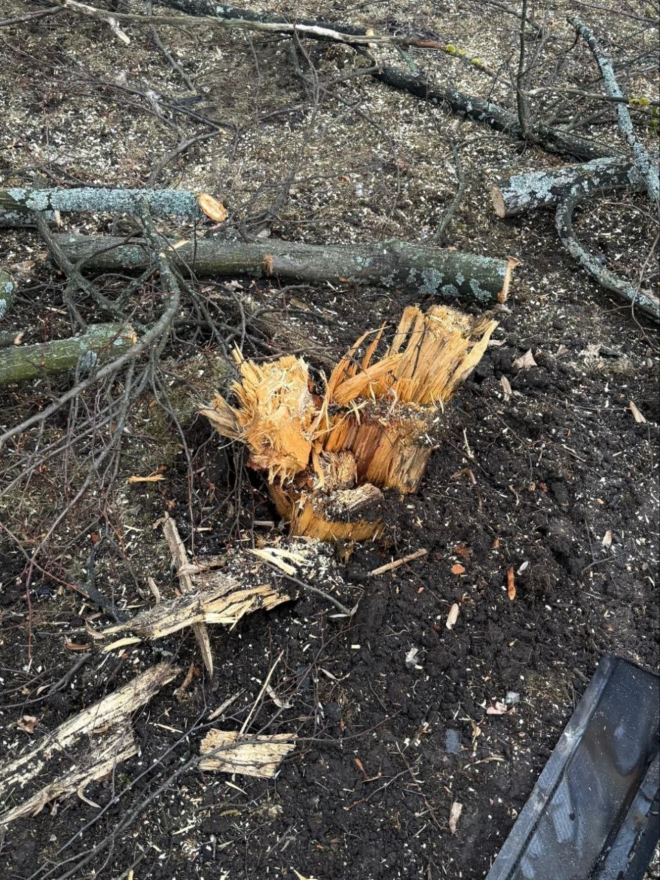 У Центральному парку Харкова вибухнув дрон