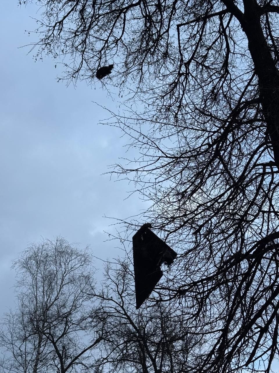 Вибух у Центральному парку