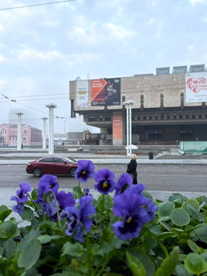 На квітниках біля Дзеркального струменя висадили віоли