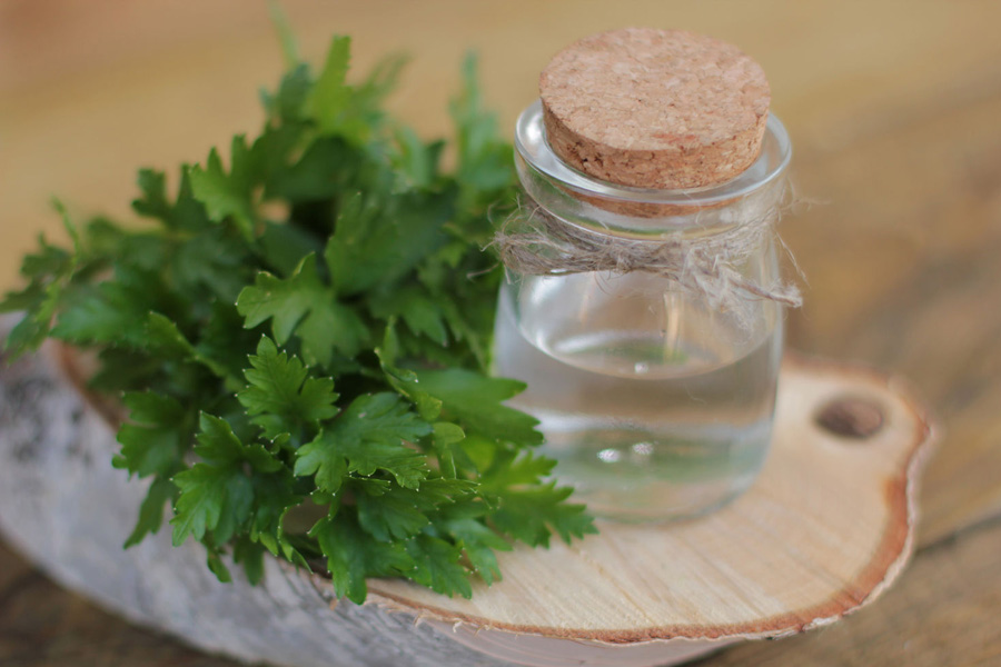Петрушковий відвар: користь і приготування
