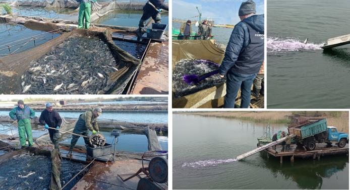 Фото: Харківський рибоохоронний патруль