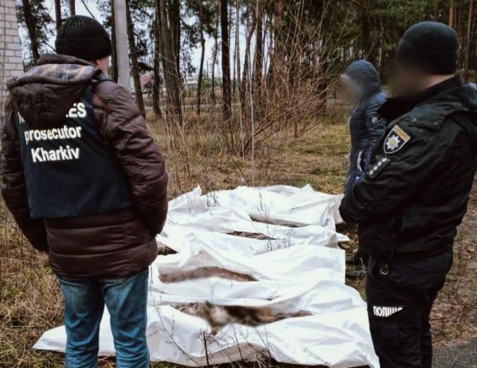 На фото: поліція ексгумувала тіла людей, які загиблі під час авіабомбардування у березні, село Слобожанське, Харківська область