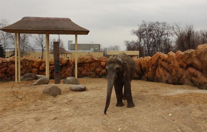 Фото zoo.kharkov.ua