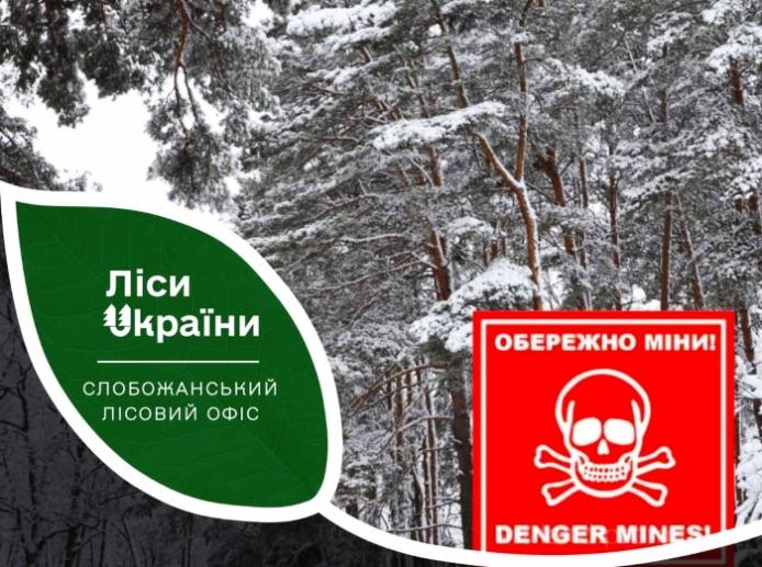 У лісах Харківщини зберігається високий рівень мінної небезпеки/фото: Слобожанський лісовий офіс