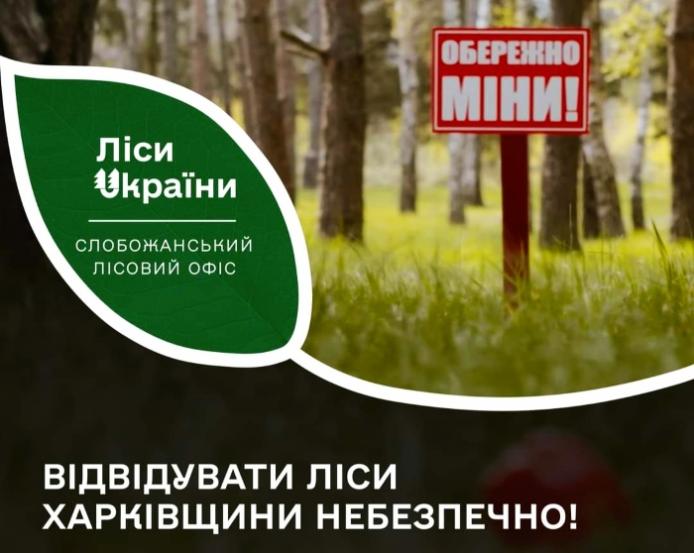Лісівники попереджають/фото: Слобожанський лісовий офіс