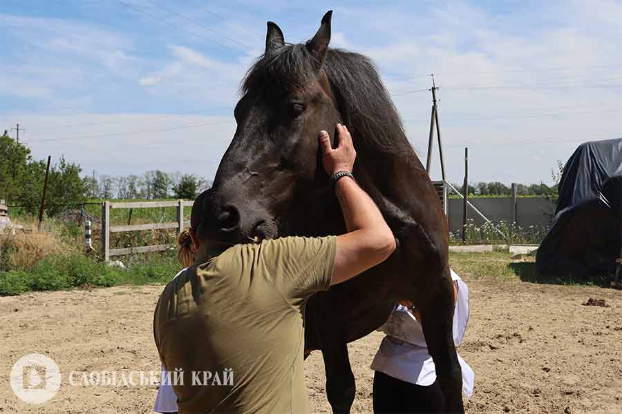 Спілкування з конем особливий досвід