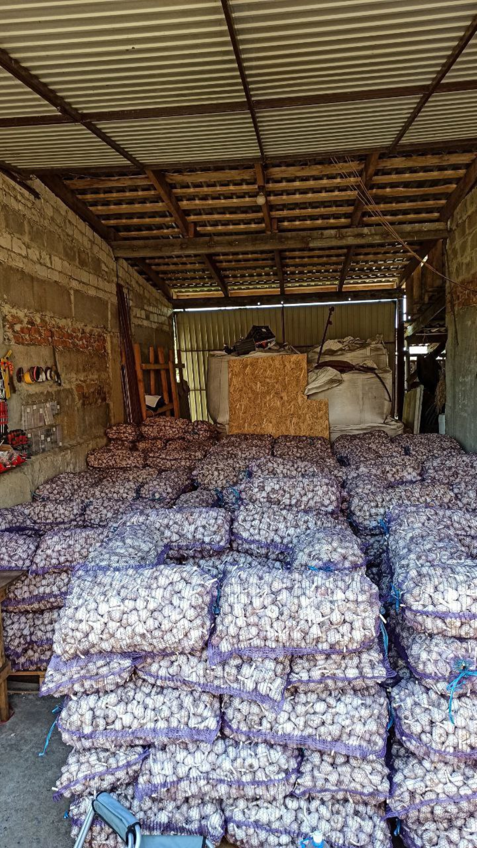Часник готовий до відправки на продаж