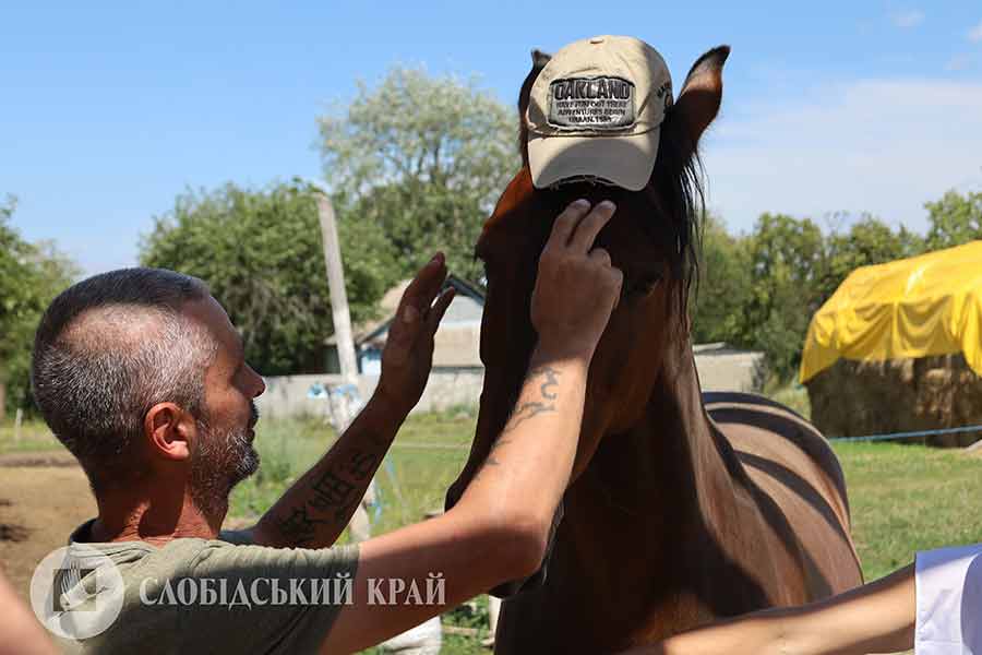 Ідея програми іпоівенції на активній стайні «Рай» з’явилася наприкінці 2022 року