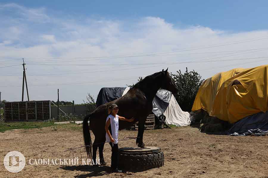 «Ми вчимо так налаштувати своє тіло, що кінь сам підійде»