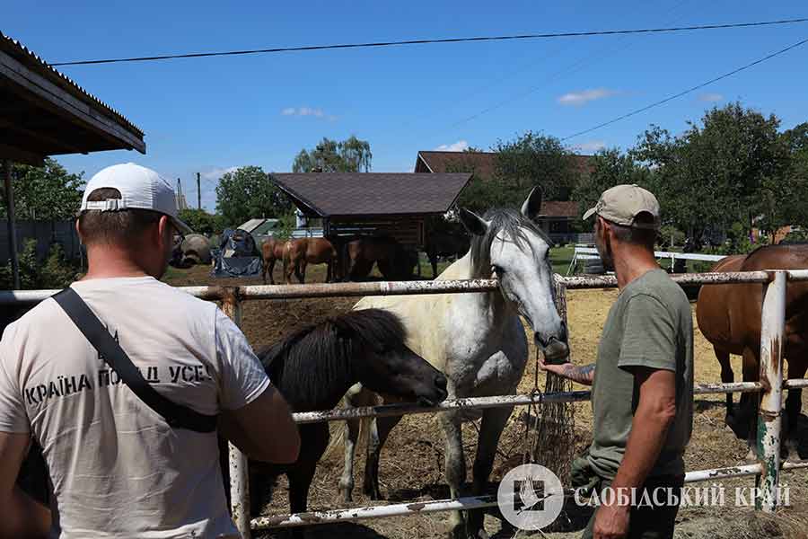 Рекреації людини допомагають коні 